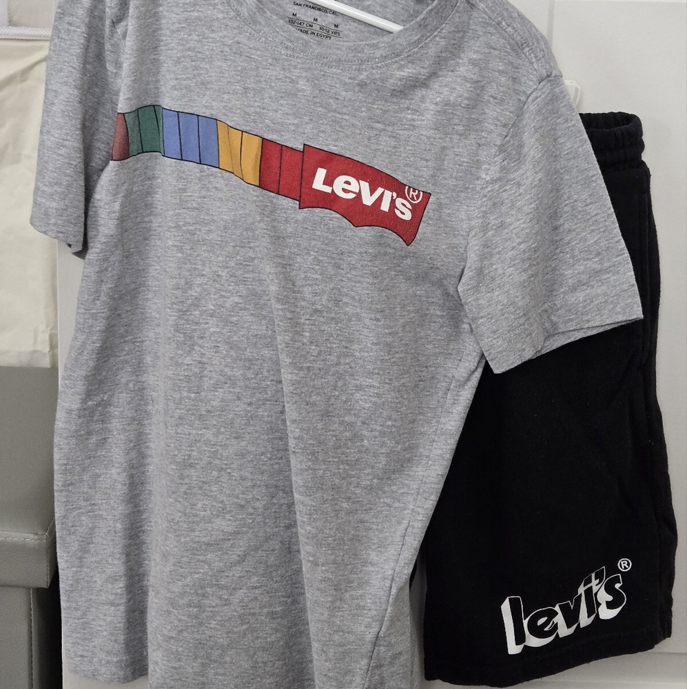 Levi's Gray T-Shirt and Black Pants Set, Blue and Yellow Henley, Puma Minecraft